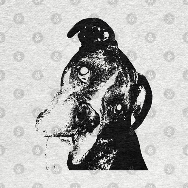 Black and White Boxer by Caden Davis Designs